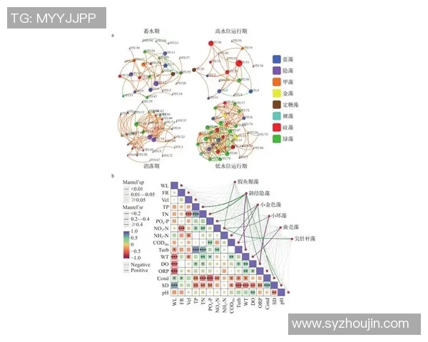 广州足球队在大师赛中的速度优势分析与表现点评
