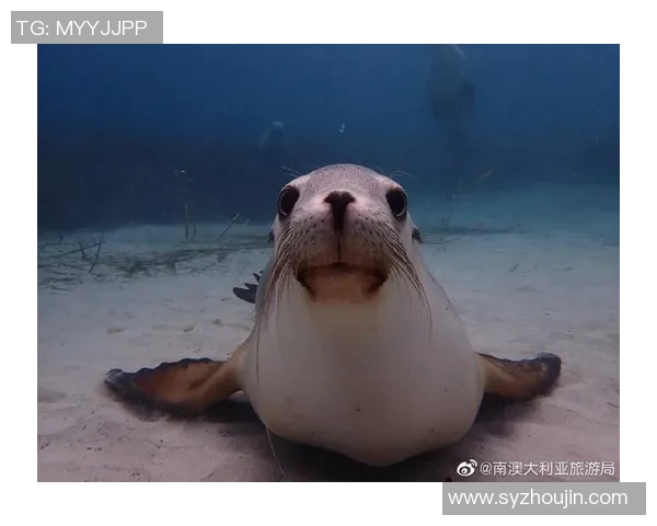 足球明星大头宝宝图片展现可爱与魅力的完美结合,球场外的萌趣瞬间